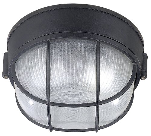 Product Cover Canarm IOL17BK The Outdoor 1-Bulb Flush Mount Exterior Light with Frosted Glass Globe, Black