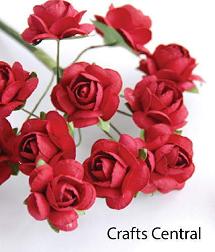 Product Cover Zva Creative - Mini Rose Bulk Paper Flowers .5