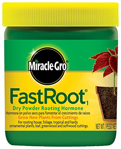 Product Cover Miracle-Gro 1006451 FastRoot1 Rooting Hormone, 1 Pack