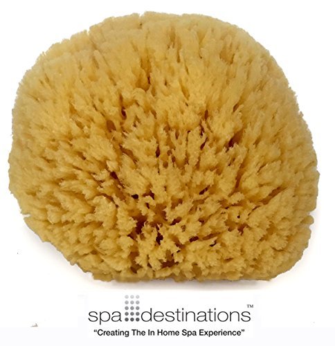 Product Cover Natural Sea Sponge 6-7