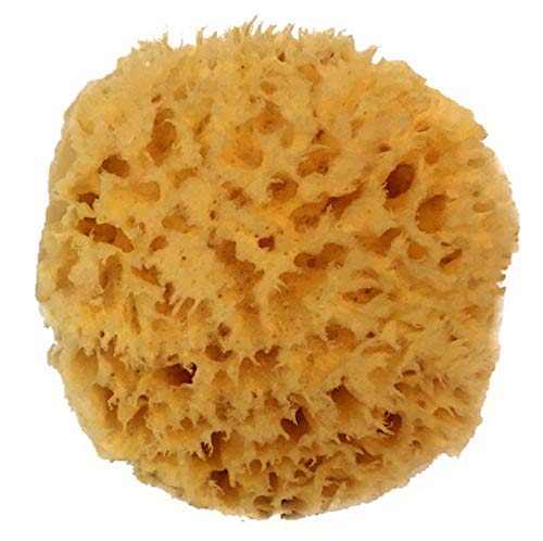 Product Cover Natural Sea Wool Sponge 4-5