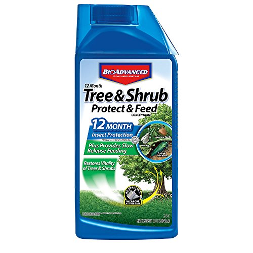 Product Cover BioAdvanced 701901 12 Month Tree and Shrub Protect and Feed Concentrate, 32-Ounce