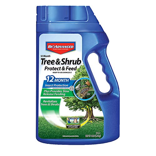 Product Cover Bayer Bay701700B Bayer 4 No. 12 Month Tree And Shrub Protect And Feed Gran