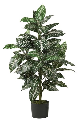 Product Cover Nearly Natural 6542 Zebra Silk Plant, 3-Feet, Green