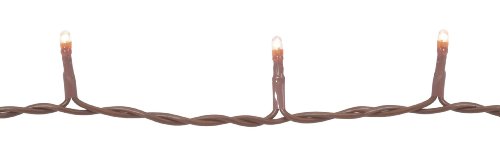 Product Cover Darice LT60-5 Clear Teeny 20-Bulb Light Set with Brown Cord for Indoor Use Only
