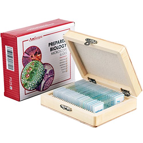 Product Cover AmScope PS25 Prepared Microscope Slide Set for Basic Biological Science Education, 25 Slides, Includes Fitted Wooden Case