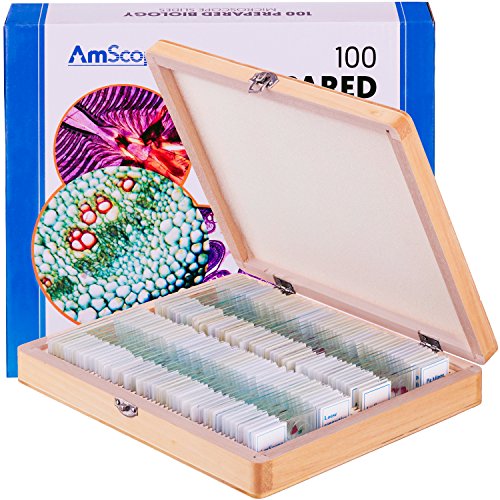 Product Cover AmScope PS100A Prepared Microscope Slide Set for Basic Biological Science Education, 100 Slides, Set A, Includes Fitted Wooden Case