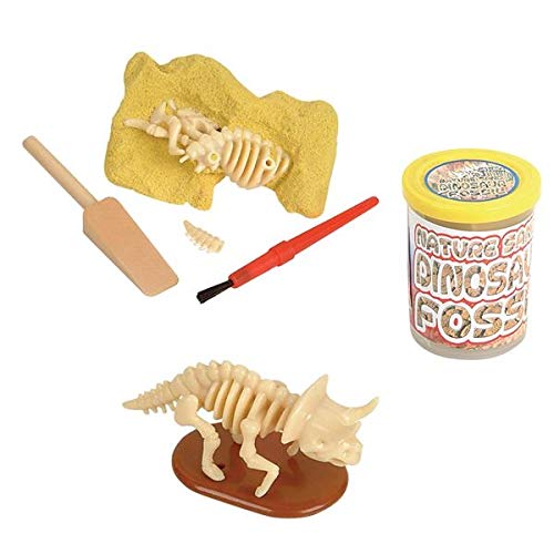 Product Cover Rhode Island Novelty Dinosaur Fossil - Nature Sand Dino Dig Stocking Stuffer - 1pc