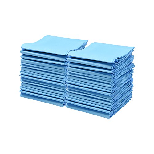 Product Cover A World of Deals Disposable Blue Underpad 23 X 36, 150/Case