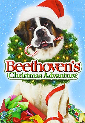 Product Cover Beethoven's Christmas Adventure (Bilingual) [Import]