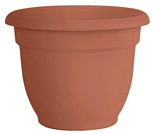 Product Cover Bloem 20-56108 Fiskars 8 Inch Ariana with Self-Watering Grid, Color Clay, Terra Cotta
