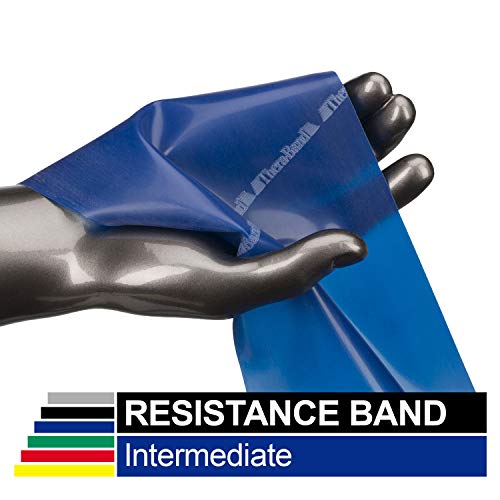 Product Cover TheraBand Professional Latex Resistance Bands, Individual 6 Ft Elastic Band for Upper & Lower Body Exercise, Physical Therapy, Pilates, Home Workouts, 6 Foot, Blue, Extra Heavy, Intermediate Level 2