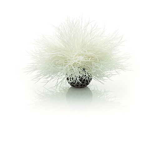 Product Cover biOrb Sea Lily, White