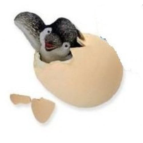 Product Cover GeoCentral Hatch ems Penguin Egg.