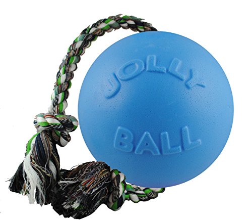 Product Cover Jolly Pets Romp-n-Roll Rope and Ball Dog Toy, 6 Inches/Medium, Blueberry