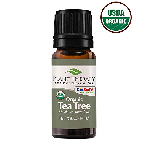 Product Cover Plant Therapy Tea Tree Oil Organic (Melaleuca Essential Oil) 100% Pure, Natural, Therapeutic Grade 10 mL (1/3 oz)