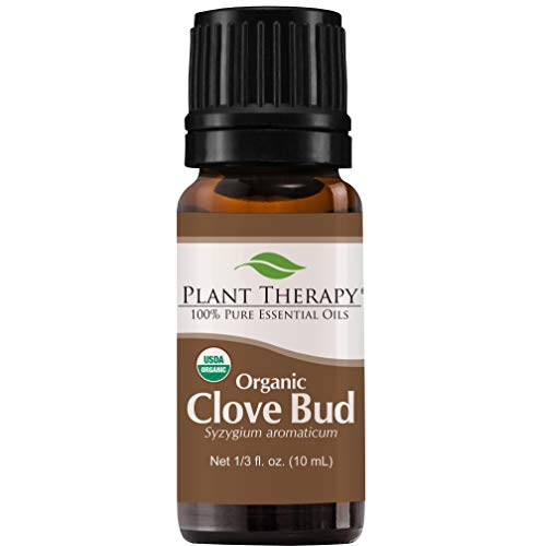 Product Cover Plant Therapy Clove Bud Organic Essential Oil 100% Pure, USDA Certified Organic, Undiluted, Natural Aromatherapy, Therapeutic Grade 10 mL (⅓ oz)