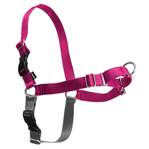 Product Cover PetSafe Easy Walk Dog Harness, No Pull Dog Harness, Raspberry/Gray, Large