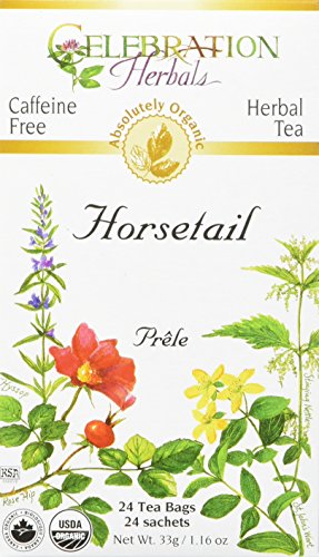 Product Cover Celebration Herbals Horsetail Tea Organic 24 Tea Bag, 33gm