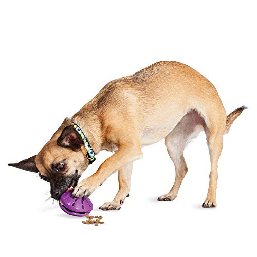 Product Cover PetSafe Busy Buddy Twist 'n Treat Dispensing Dog Toy - Extra Small, Small, Medium, Large