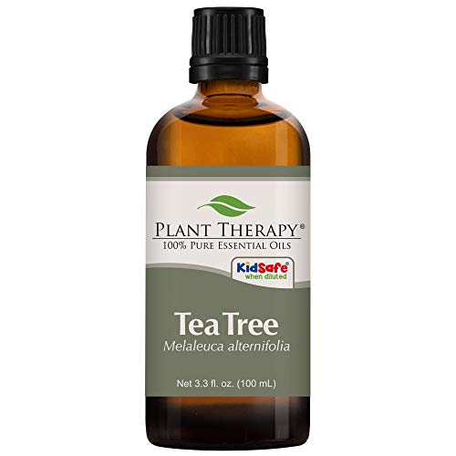 Product Cover Plant Therapy Tea Tree Essential Oil 100% Pure, Undiluted, Natural Aromatherapy, Therapeutic Grade 100 mL (3.3 oz)