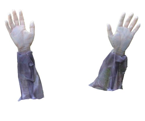 Product Cover Forum Novelties Zombie Hands & Arms - (2) Zombie Lawn Stakes