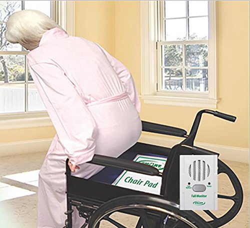 Product Cover Basic Fall Monitor and Chair Pad (1 Year Warranty), 10 Inches x 15 Inches
