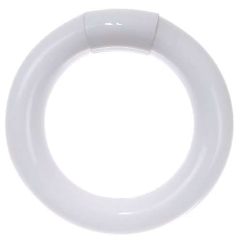 Product Cover Sunlite FC6T9/CW Fluorescent 20W T9 Circline Ceiling Lights, 4100K Cool White Light, 4-Pin Base