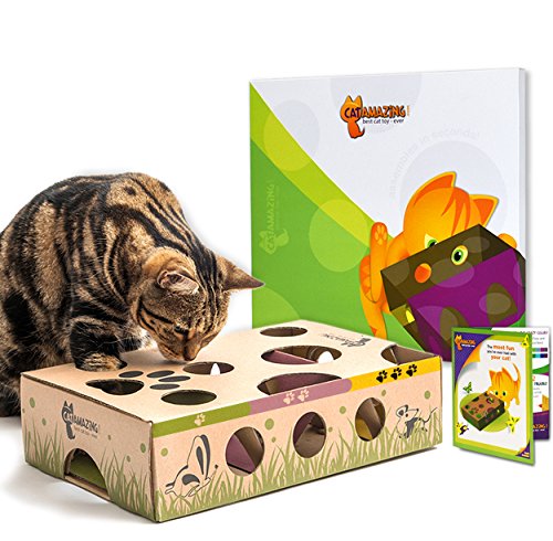 Product Cover Cat Amazing - Best Cat Toy Ever! Interactive Treat Maze & Puzzle Feeder for Cats