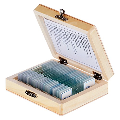 Product Cover AmScope PS25W Prepared Microscope Slide Set for Basic Biological Science Education, 25 Slides, Includes Fitted Wooden Case