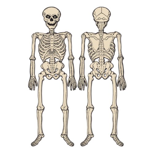 Product Cover Beistle Jointed Skeleton, 4-Feet 3-Inch