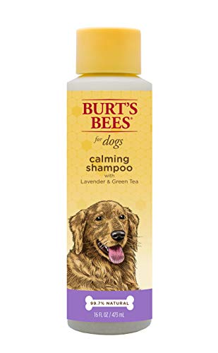 Product Cover Burt's Bees for Dogs Natural Calming Shampoo with Lavender and Green Tea | Puppy and Dog Shampoo, 16 Ounces