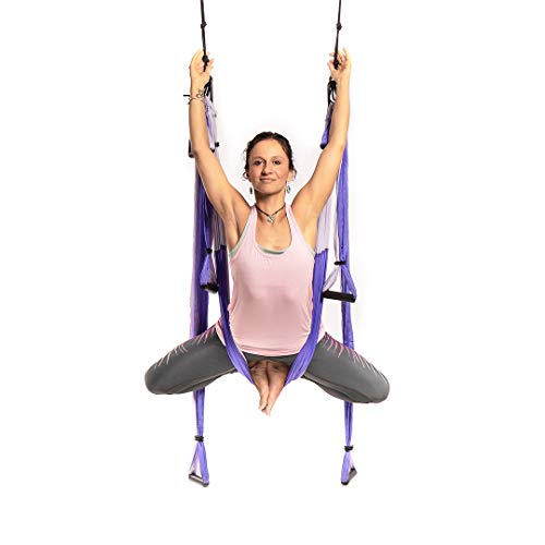 Product Cover YOGABODY Yoga Trapeze [official] - Yoga Swing/Sling/Inversion Tool, Purple with Free DVD