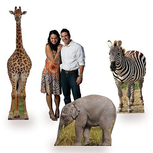 Product Cover Safari Animal Standee Set Jungle Party Props