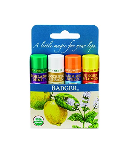 Product Cover Classic Lip Balm -(Ginger&Lemon, Unscented, Tangerine Breeze, Highland Mint)4PK box