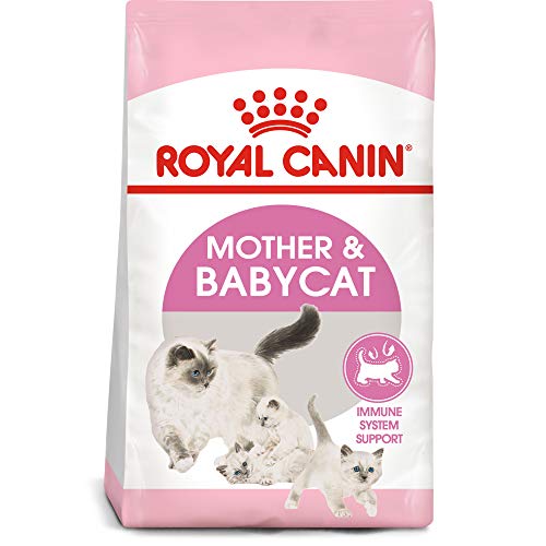 Product Cover Royal Canin Feline Health Nutrition Mother & Babycat Dry Cat Food for Newborn Kittens and Pregnant or Nursing Cats, 3.5 Pound Bag