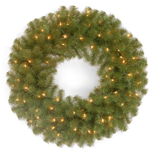 Product Cover National Tree 24 Inch North Valley Spruce Wreath with 50 Clear Lights (NRV7-300-24W-1)