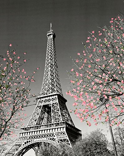 Product Cover Culturenik Paris Eiffel Tower Blossoms Decorative Photography Travel City Poster Print, Unframed 16x20