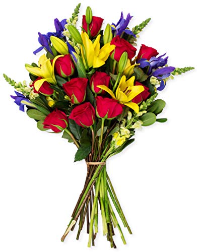Product Cover Benchmark Bouquets Joyful Wishes, No Vase (Fresh Cut Flowers)
