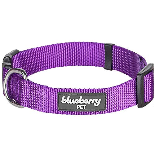Product Cover Blueberry Pet 22 Colors Classic Dog Collar, Dark Orchid, X-Small, Neck 8