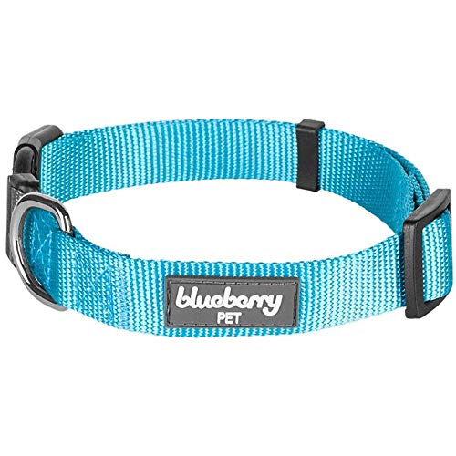 Product Cover Blueberry Pet 22 Colors Classic Dog Collar, Medium Turquoise, X-Small, Neck 8