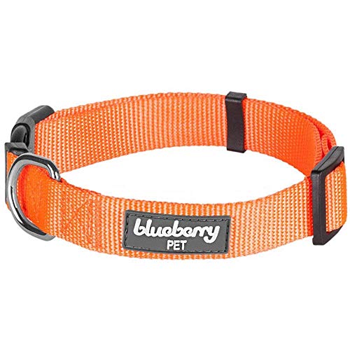 Product Cover Blueberry Pet Essentials 22 Colors Classic Dog Collar, Florence Orange, Medium, Neck 14.5