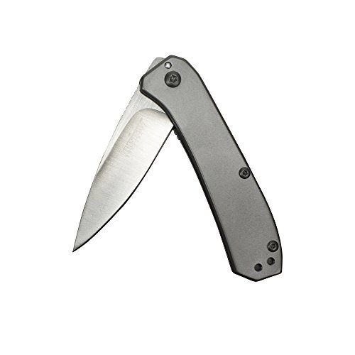 Product Cover Kershaw Amplitude 2.5 (3870); Drop Point Pocket Knife with 2.5-Inch Blade in a Grey Finish; Features SpeedSafe Opening, Liner Lock and Reversible Pocketclip; 3.2 oz.