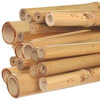 Product Cover A.M. Leonard Natural First Cut Premium Bamboo Stakes, 3/4 Inch x 6 Foot - Bundle of 100