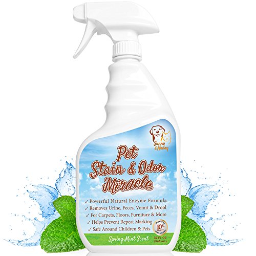 Product Cover Pet Stain & Odor Miracle - Enzyme Cleaner for Dog and Cat Urine, Feces, Vomit, Drool