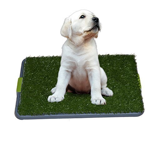 Product Cover Sonnyridge Easy Dog Potty Training - Made with Synthetic Grass - 3 Layered Systems - Great for Dogs Stuck in the...