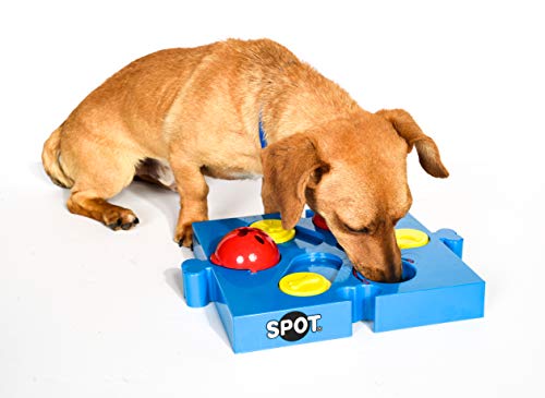 Product Cover SPOT Seek-a-Treat Flip 'N Slide Treat Dispenser for Dogs | Dog Treat Dispenser | Dog Treat Dispenser Toy | Interactive Puzzle | Dog Treat Toys for Boredom | Dog Treat Toy Puzzle | Dog Toy Games