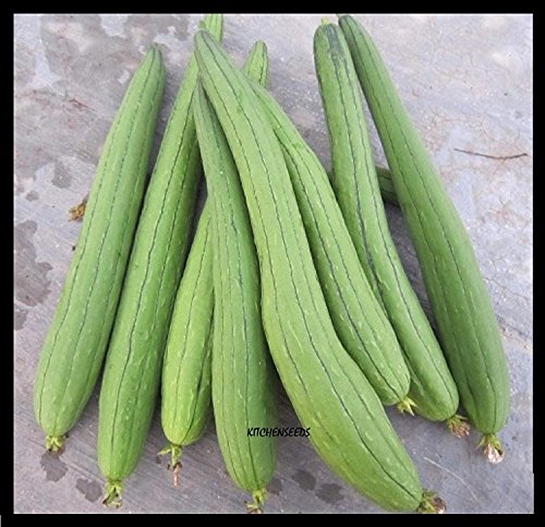 Product Cover (20) Asian Vegetable Edible Luffa seeds , long Smooth sponge gourd, Muop Huong by Kitchenseeds