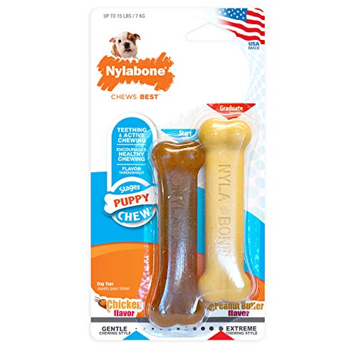 Product Cover Nylabone Puppy Chew Peanut Butter and Chicken Flavor Chew Toy Twin Pack, X-Small