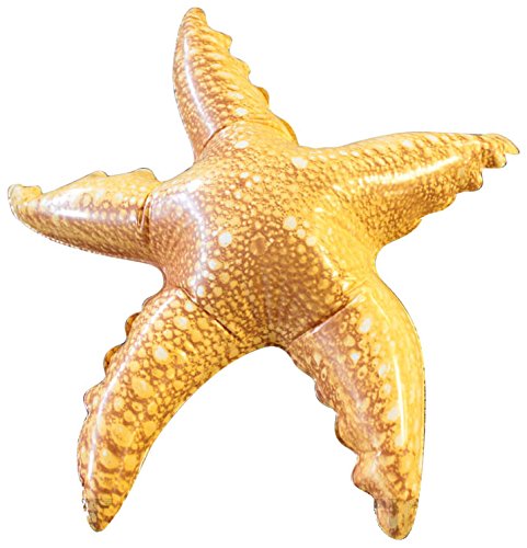 Product Cover Jet Creations Inflatable Starfish, 20